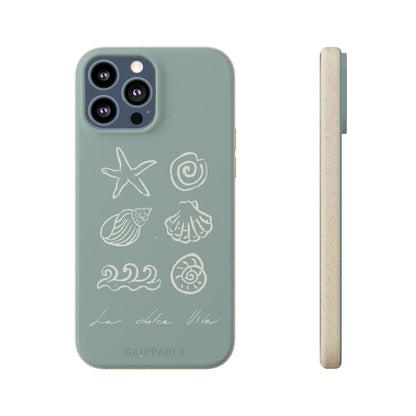Sea Shell | Biodegradable