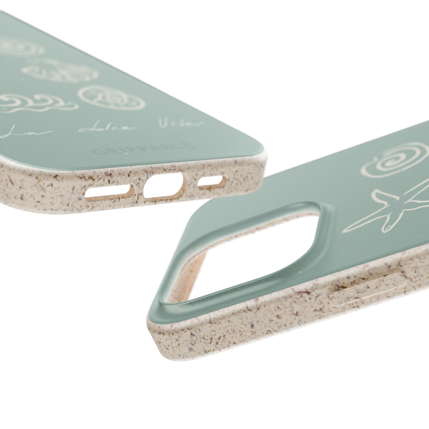 Sea Shell | Biodegradable