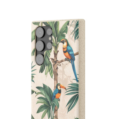 Parrots | Biodegradable