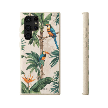 Parrots | Biodegradable