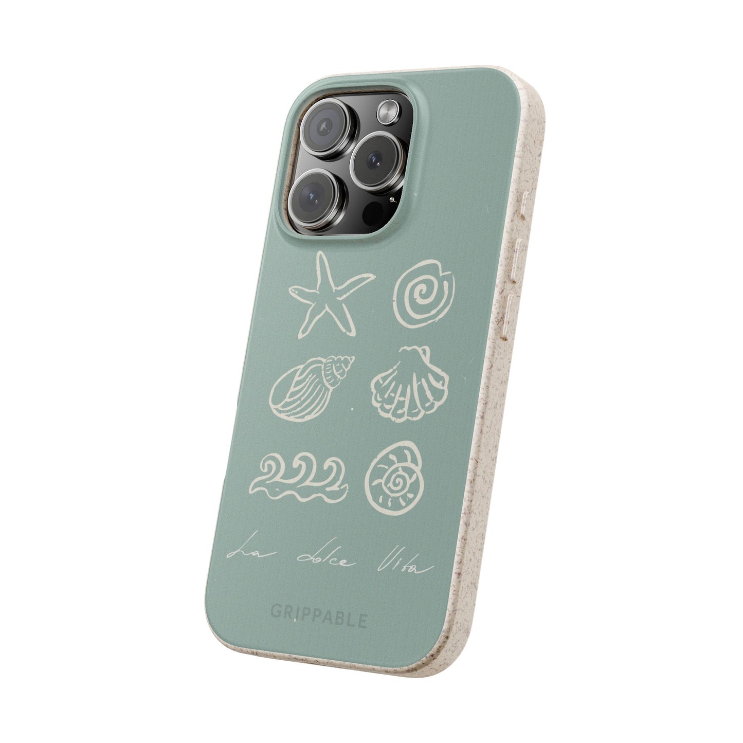 Sea Shell | Biodegradable