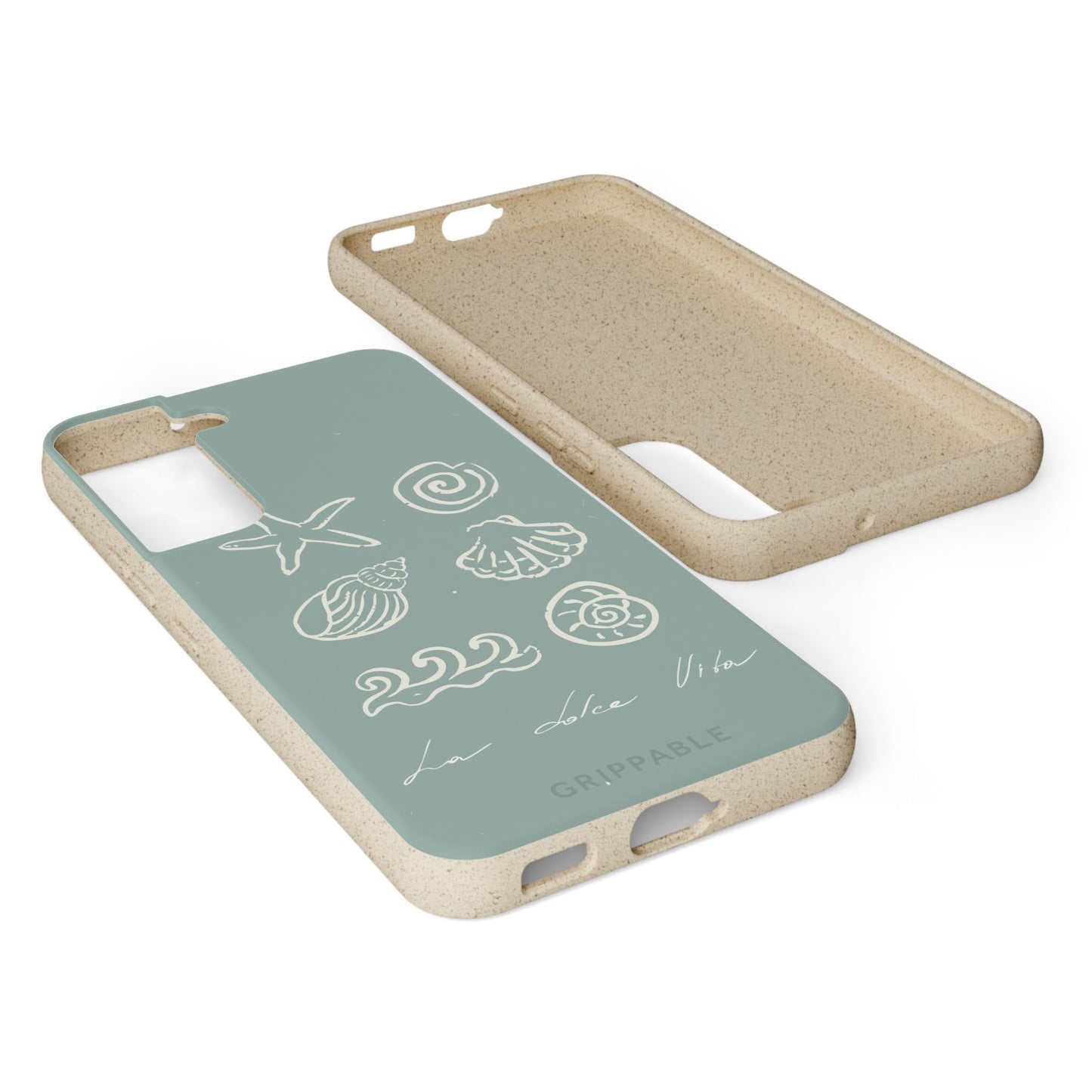 Sea Shell | Biodegradable