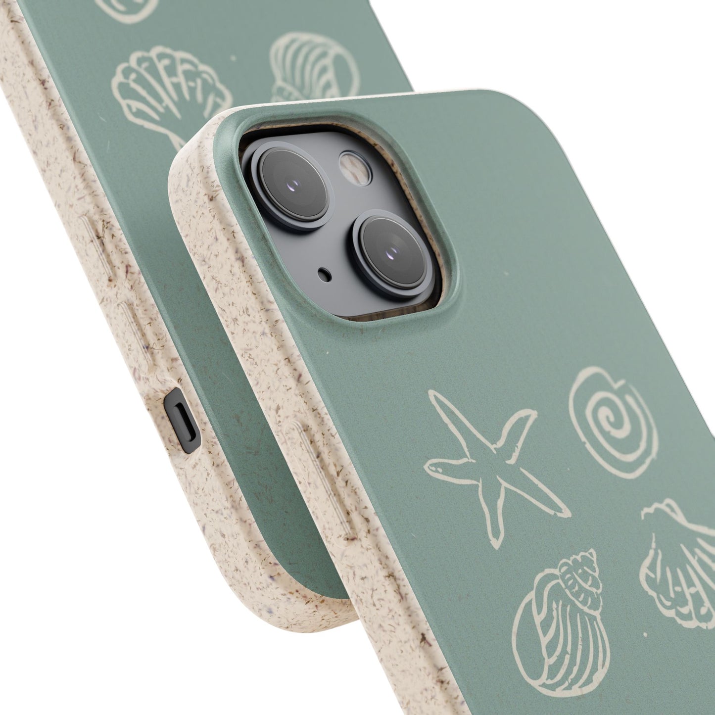 Sea Shell | Biodegradable
