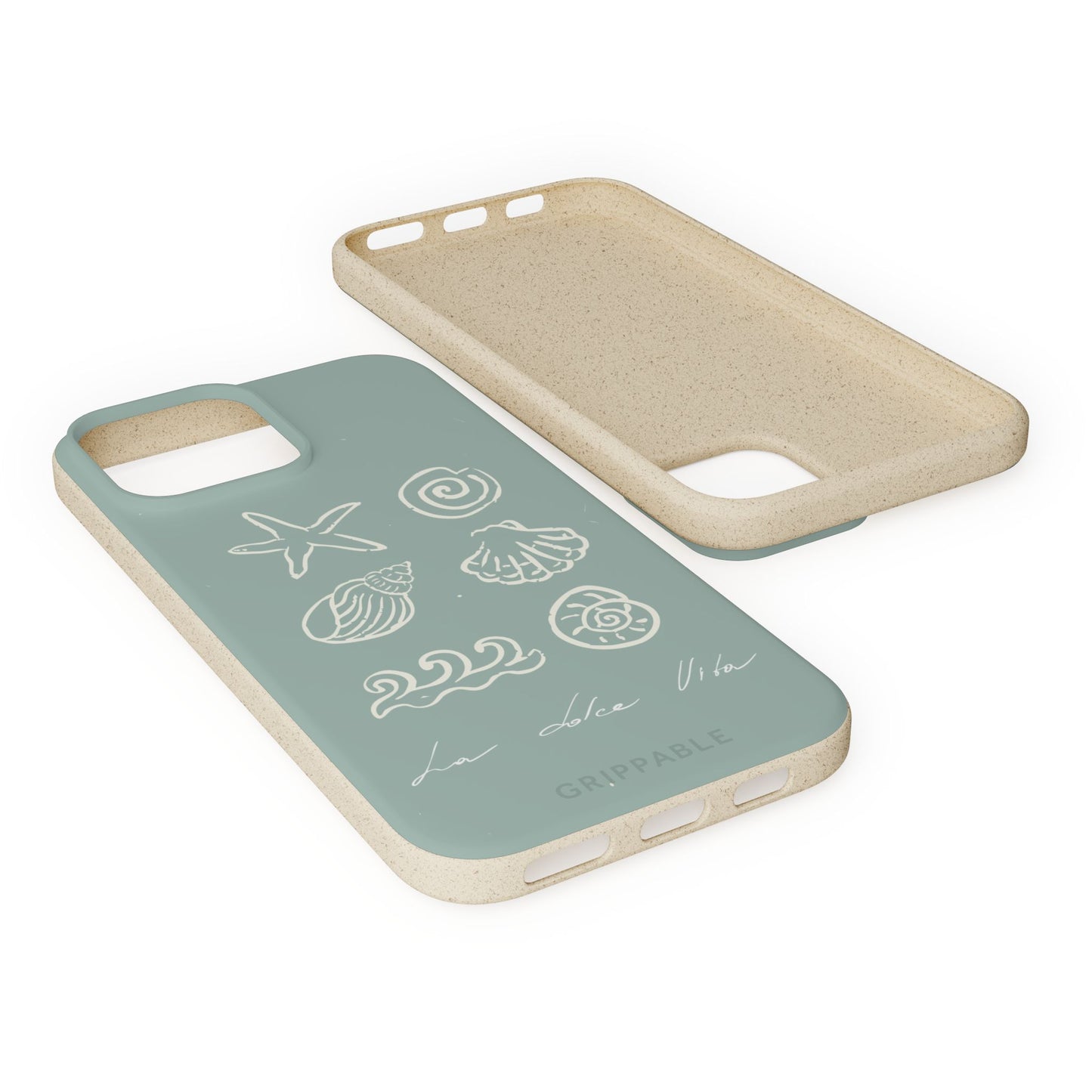 Sea Shell | Biodegradable
