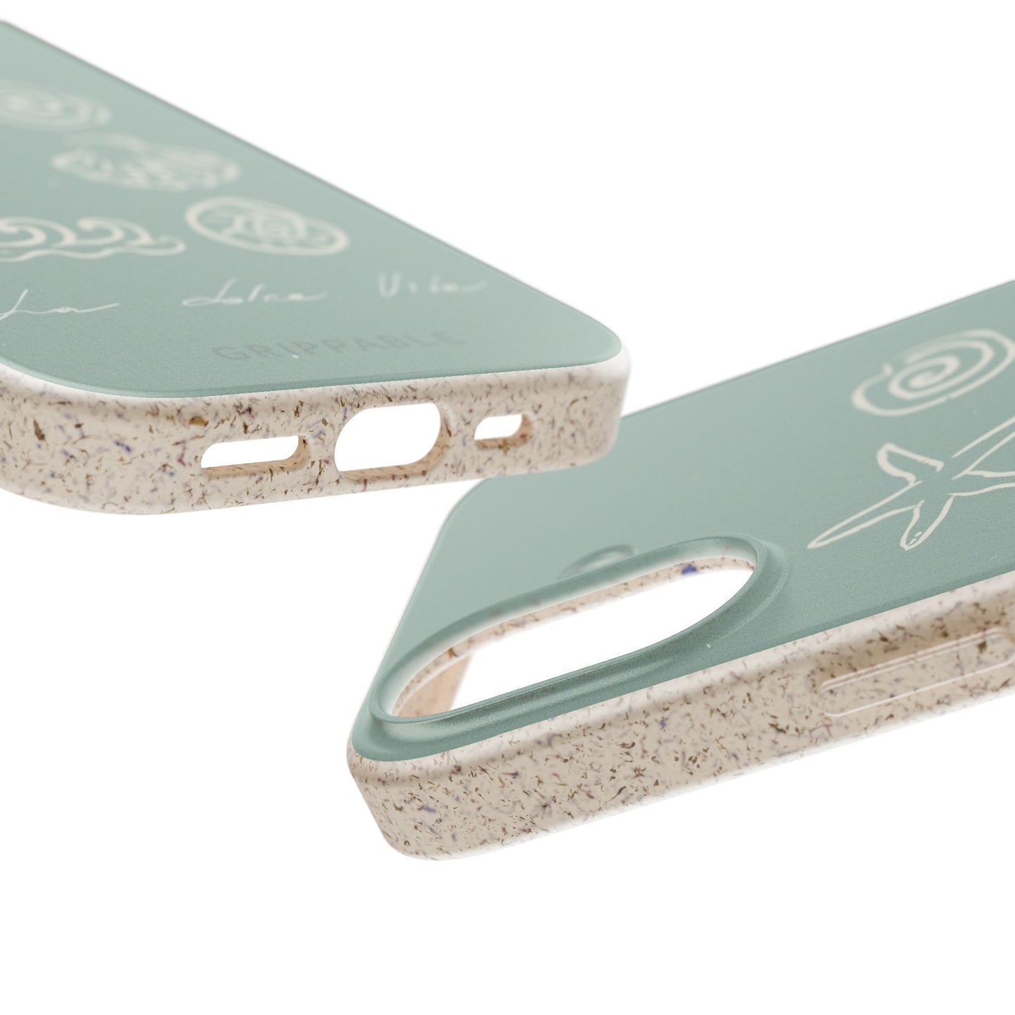Sea Shell | Biodegradable