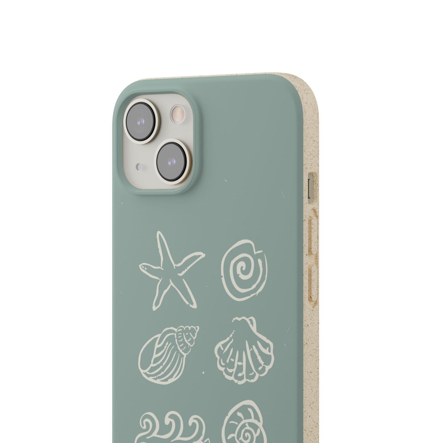 Sea Shell | Biodegradable