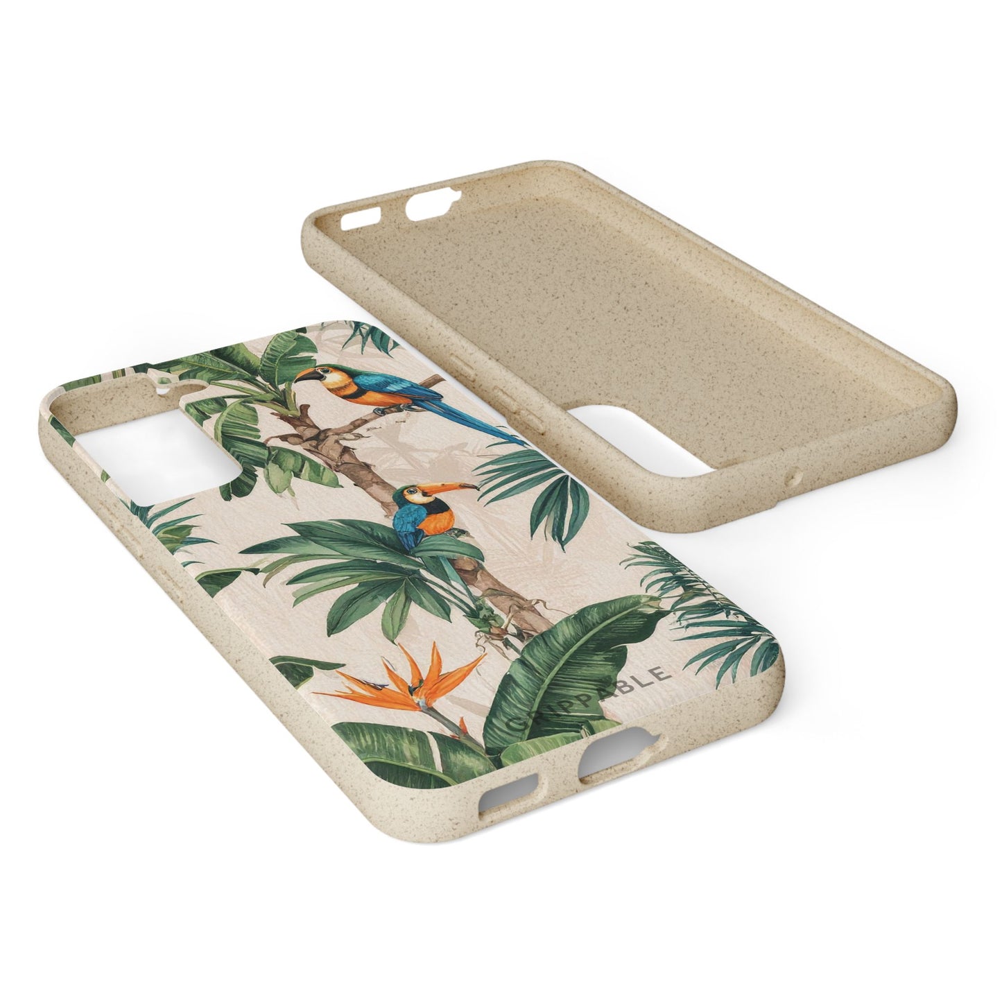 Parrots | Biodegradable