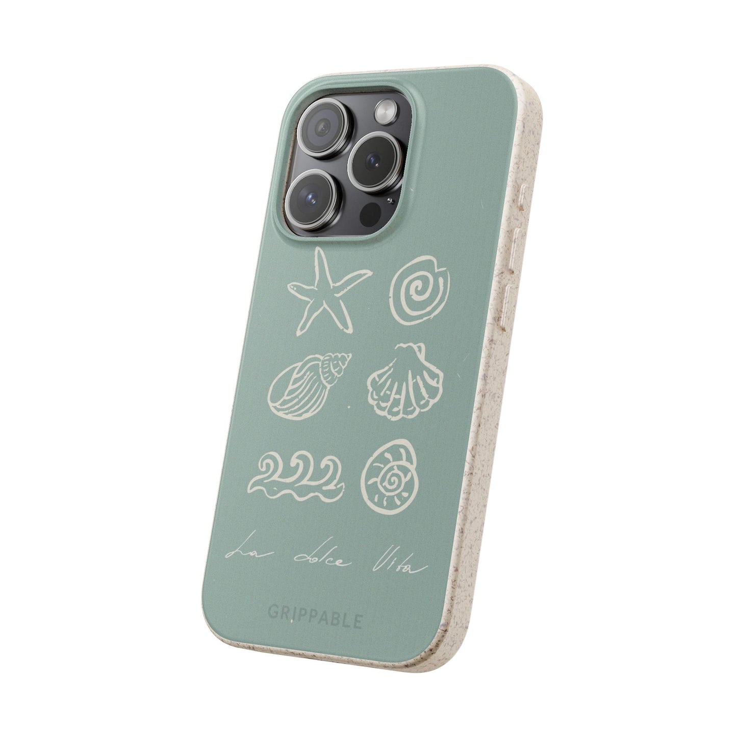Sea Shell | Biodegradable