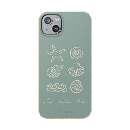 Sea Shell | Biodegradable