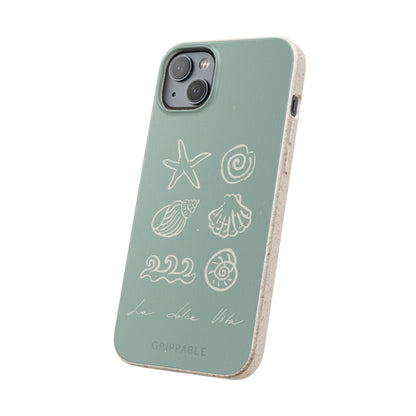 Sea Shell | Biodegradable