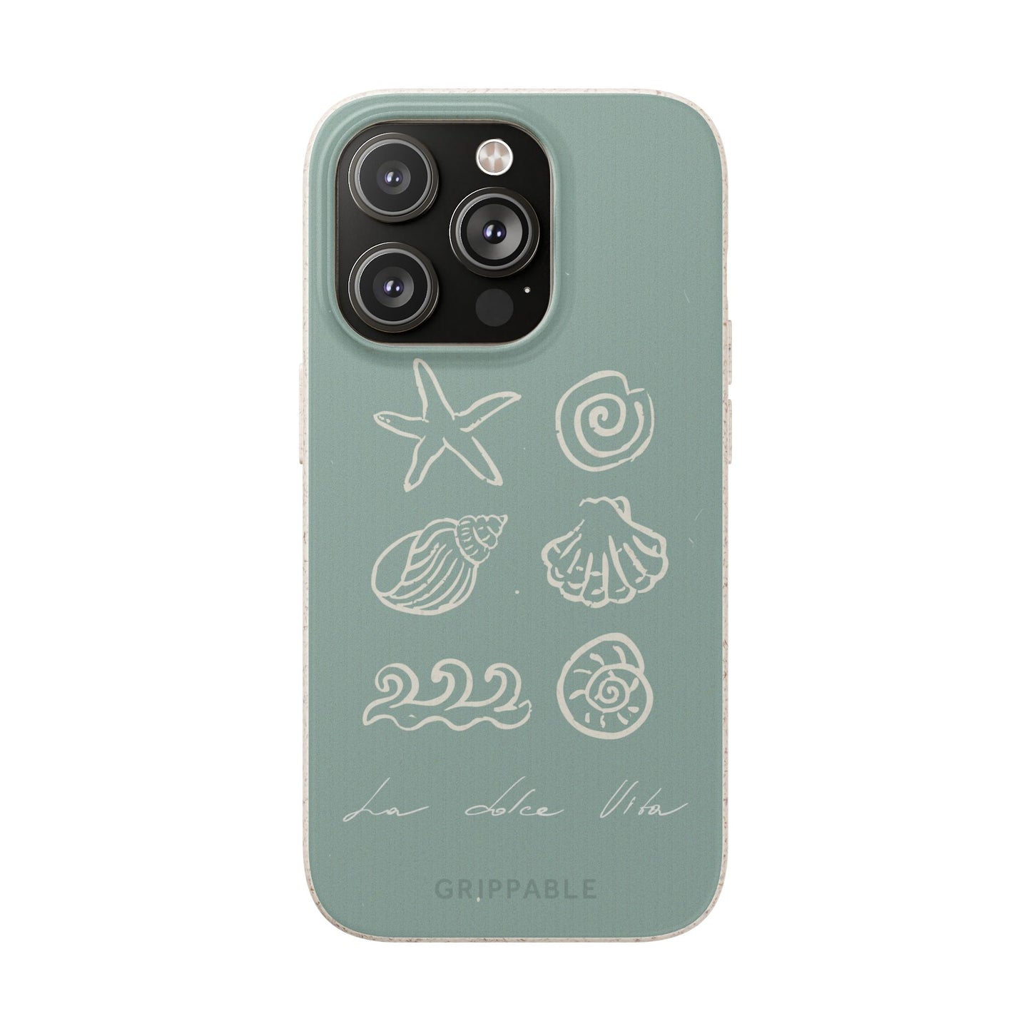 Sea Shell | Biodegradable