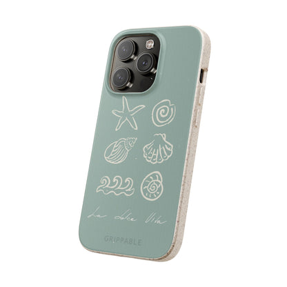 Sea Shell | Biodegradable