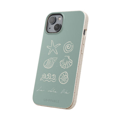 Sea Shell | Biodegradable