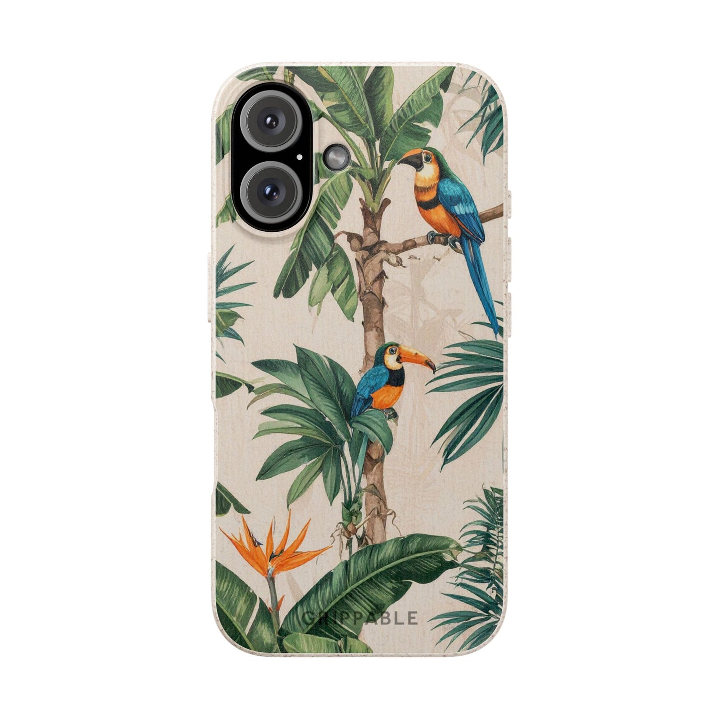 Parrots | Biodegradable